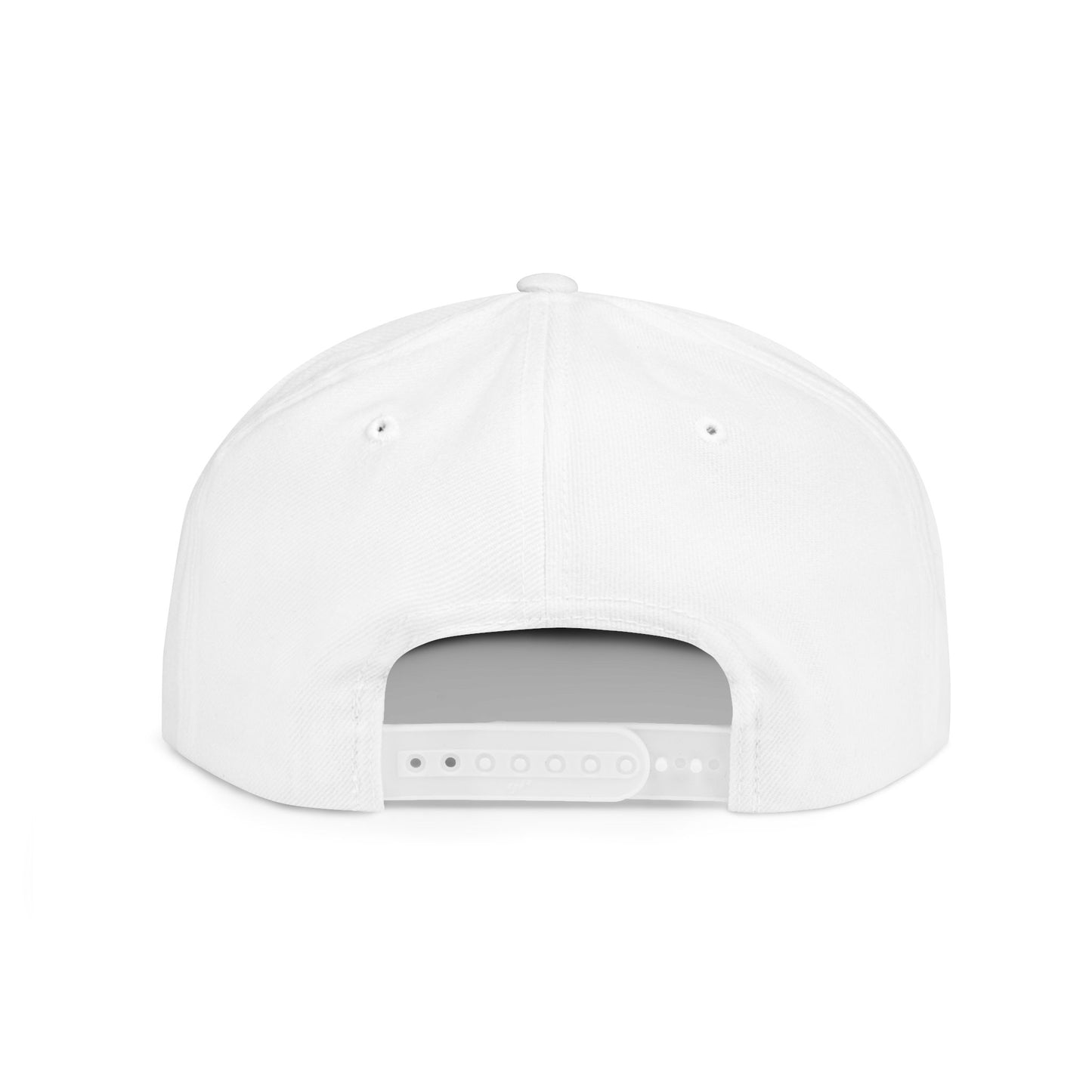 14 -The Drip - Flat Bill Snapback