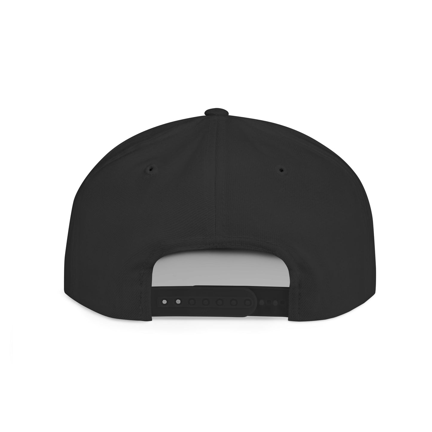 14 -The Drip - Flat Bill Snapback